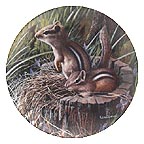 The Chipmunk collector plate by Kevin Daniel