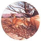 The Cougar collector plate by Lee Cable