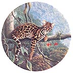 The Margay collector plate by Lee Cable