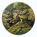 The Gadwall collector plate by Bart Jerner
