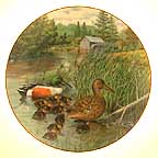 The Northern Shoveler collector plate by Bart Jerner