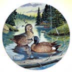The Blue-Winged Teal collector plate by Bart Jerner