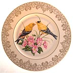 American Goldfinch collector plate