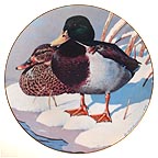 Mallards collector plate by Rod Lawrence