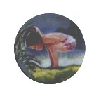 Small Wonder collector plate by Donald Zolan