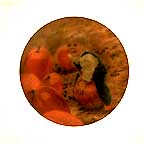 My Pumpkin collector plate by Donald Zolan