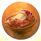 Day Dreamer collector plate by Donald Zolan