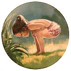 Small Wonder collector plate by Donald Zolan