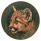 Cougar Cub collector plate by Qua Lemonds