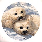 Baby Seals collector plate by Mike Jackson