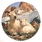 Dall Sheep collector plate by Mike Jackson