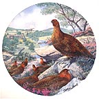 Red Grouse collector plate by Derek Braithwaite