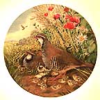 Red Legged Partridge collector plate by Derek Braithwaite