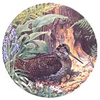 Woodcock collector plate by Derek Braithwaite