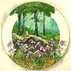 Birdsfoot Violet collector plate by Ralph Mark