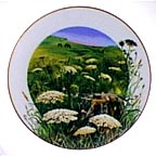 Queen Anne's Lace collector plate by Ralph Mark