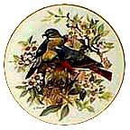 Redstart collector plate by Ursula Band