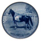 Pinto collector plate by Poul T. Christensen