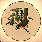 Yellow-Breasted Chat collector plate by Don Eckelberry