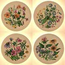 Set of 4 collector plate
