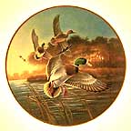 Mallards At Sunrise collector plate by Lynn Kaatz