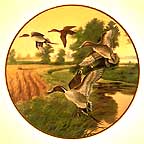 Pintails In Indian Summer collector plate by Lynn Kaatz