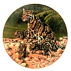 Present Dreams collector plate by Greg Beecham