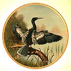 The Anhinga collector plate by James Faulkner