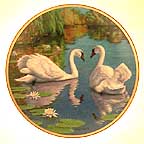 The Swan collector plate by James Faulkner