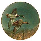 Mallards collector plate by Richard Plasschaert