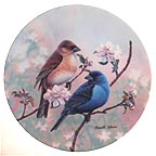 Indigo Buntings And Spring Blossoms collector plate by Russell Cobane