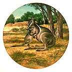 The Bridled Wallaby collector plate by Will Nelson