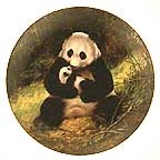 The Panda collector plate by Will Nelson
