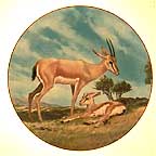 The Slender-Horned Gazelle collector plate by Will Nelson