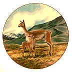 The Vicuna collector plate by Will Nelson