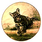 The Clouded Leopard Cub collector plate by Charles Frac&eacute;