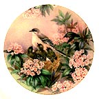 Song Of Spring collector plate by Lena Liu