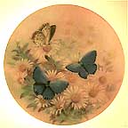 Eastern Tailed Blues collector plate by Lena Liu