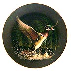 Winged Splendor collector plate by Tommy Humphrey