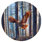 Sunset Splendor collector plate by Cynthie Fisher