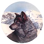 Lone Vanguard collector plate by Thomas Hirata