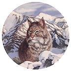 Quiet Vigil collector plate by Thomas Hirata