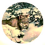 Silent Guard collector plate by Thomas Hirata