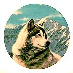 Solitary Watch collector plate by Thomas Hirata